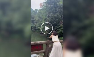 Scream Fountain