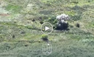Defense forces repel enemy assault actions in the Kupyansk direction and destroy occupiers