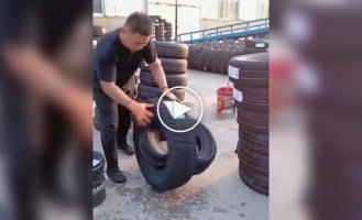 Как сэкономить место при транспортировке шин