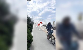 Пилот чудом посадил самолет на пляже в Сан-Диего