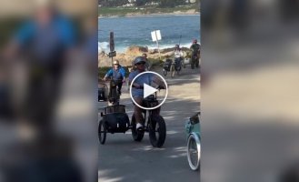 Велопробег корги в люльках