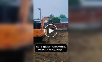 A dog rides in an excavator bucket