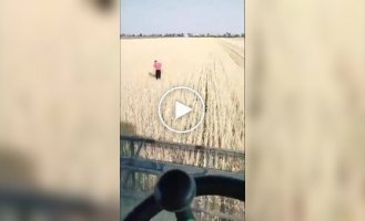 Ukrainian farmer harvests crops in Dnipropetrovsk region
