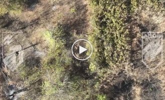 Нацгвардейцы метко атакуют российских штурмовиков, которые прячутся в руинах на Торецком направлении