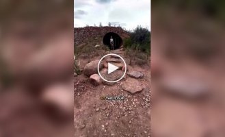 Дом Флинстоунов наяву: Необычное жилье на Airbnb