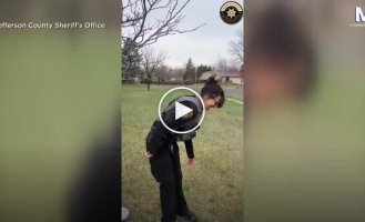 Дятел сел на полицейскую и не хотел улетать