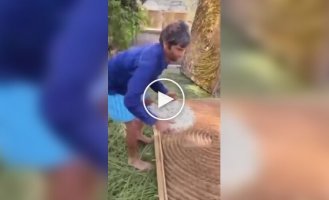 В Индии раскрыли тайну создания шелка, который ценят по всему миру