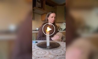 A cat and some household magic