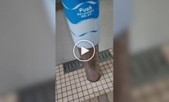 Общественные туалеты для собак в Японии