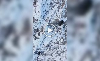 An eagle stole a drone in flight while filming and took a selfie