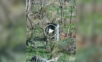 Оккупант залез в дерьмо через дырку сельского нужника после сбрасывания с украинского дрона