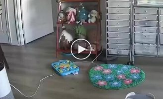 Пока хозяйка не видит