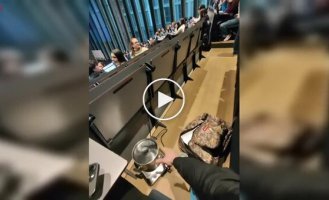 Студент принес живого лобстера на лекцию и сварил его прямо в аудитории