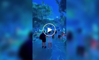 Another dimension: Space and Time Cube digital art center filmed on video & Time Cube, Video, People, Malaysia, in the world, cool, digital art center