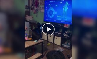 A cat is mastering new movements