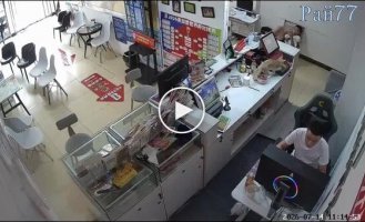 Кот случайно купил лотерейный билет