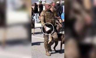 С ретривером не соскучишься