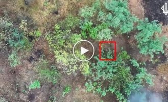 Russians send female attackers to attack Pokrovsk
