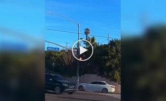 Однорічний малюк випав на ходу з машини в США і чудом вижив