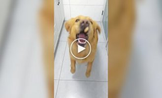 Природный измельчитель пищевых отходов