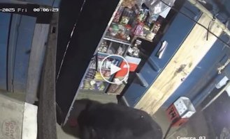 Медведь ночью устроил ревизию в магазине