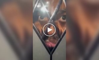 В Англии неизвестный ночью смотрел в стеклянную дверь дома