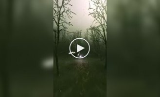 Затонувший мир: как немецкий угольный карьер превратился в фантастическое озеро с подводными лесами