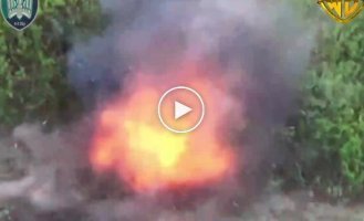 Ptakhi Madyar eliminated a Russian soldier with a kamikaze drone: the impact almost tore his body apart