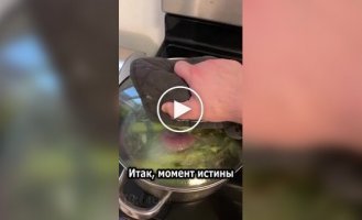 Странные видео (короткие видео). Выпуск 16