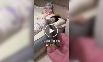 Кот добился своего