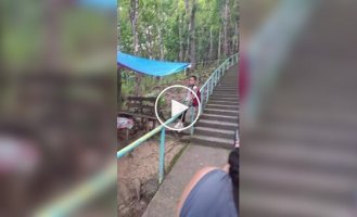 Лестница в лесу