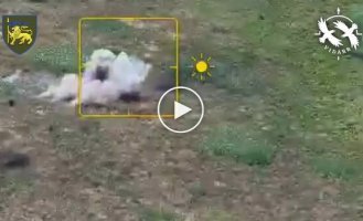 Операторы дронов 60 ОМБр ликвидировали вражеских пехотинцев, которые прятались в лесу