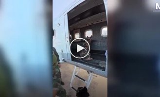 Собака совершила прыжок с самолета вместе с десантником