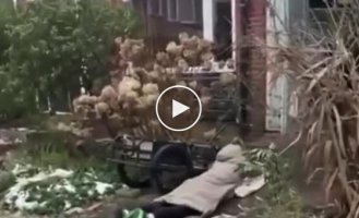 Затащить жену в дом можно только волоком на ледянке