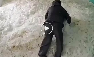 How badminton shuttlecocks are made