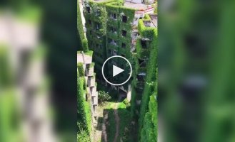 A green apocalypse in the Chinese city of Guang'ao