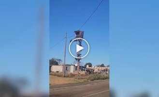 В США бездомные начали строить дома на деревьях