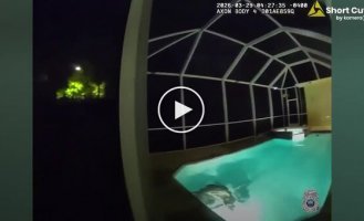 Полиция приехала на вызов о взломе и обнаружила аллигатора