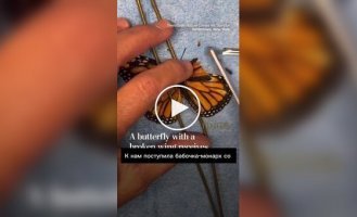 A Monarch Butterfly Receives World's First "Wing Implant"