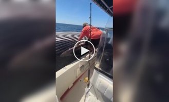 Рибалки залізли на тушу кита