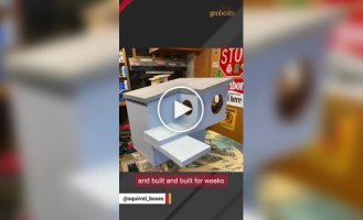 Камеры в беличьих домиках показали жизнь за закрытой дверью