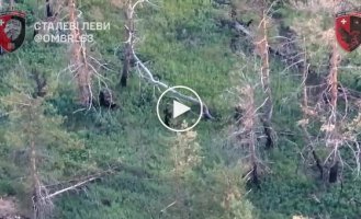 Soldiers of the 63rd Separate Motorized Brigade eliminated invaders who tried to camouflage themselves with anti-drone cloaks