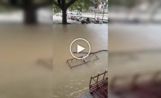 A giant python slithers through flooded streets in Thailand