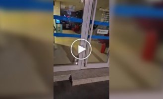 В Турции полиция прибыла на «ограбление банка» — но вместо преступников обнаружила кота