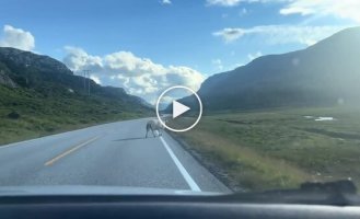 Two people met early this morning...