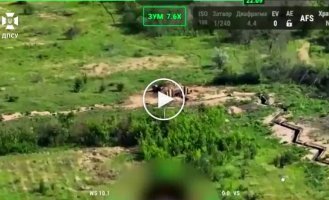 Border guards destroyed Russian loaves of bread, a D-30 cannon, and eliminated infantry in the Kharkiv region