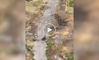 Fifty bodies of liquidated occupiers lie on a short piece of asphalt road near Pokrovsk