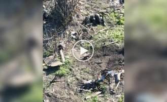 Dozens of bodies of liquidated occupiers lie on the street of a Ukrainian village and on the remains of destroyed houses