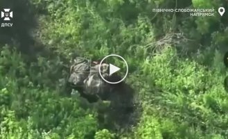Пограничники уничтожили блиндажи, БМП-1, вражеские дроны, минометную позицию, антенну и пункт управления БпЛА