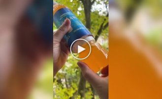 Тайник для мелких ценных вещей